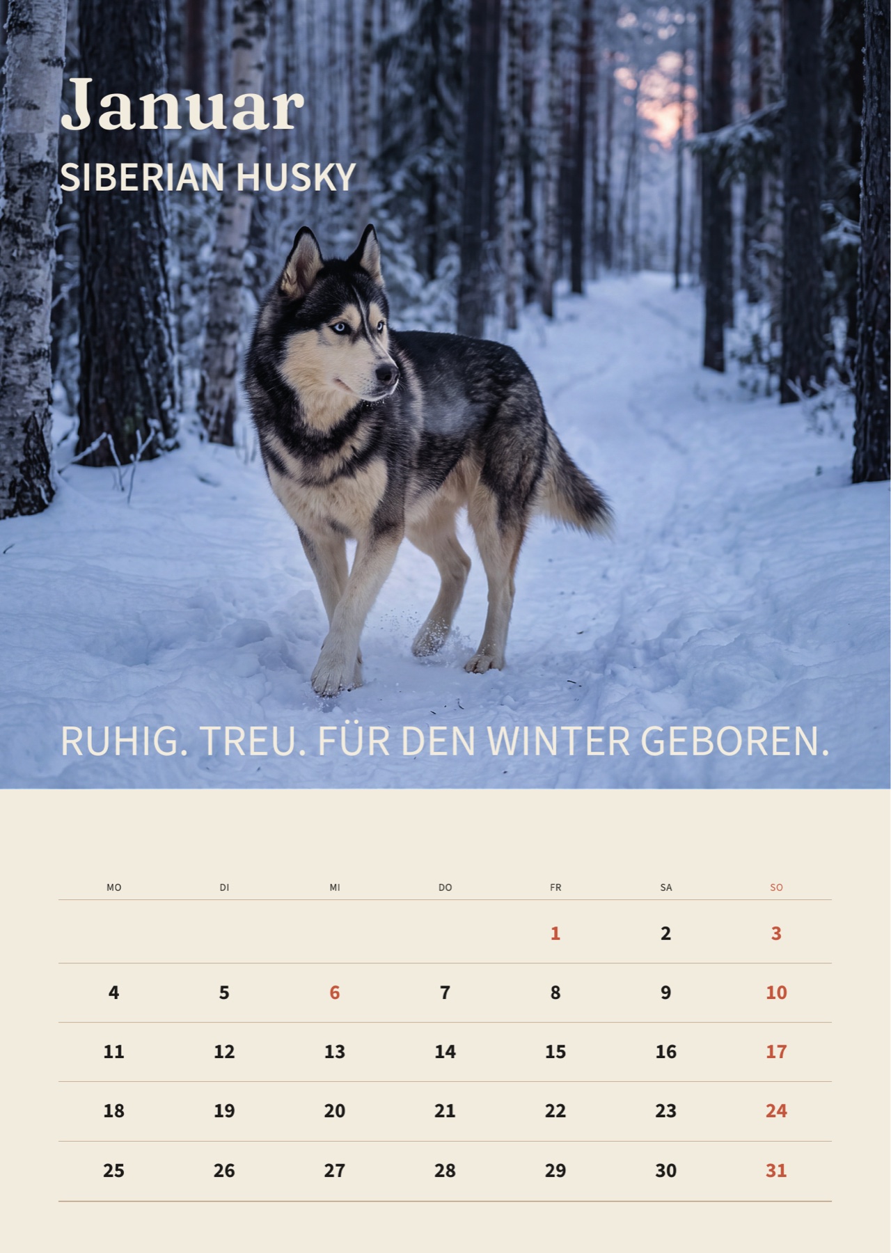 Januar 2027: Siberian Husky im gestalteten Kalender