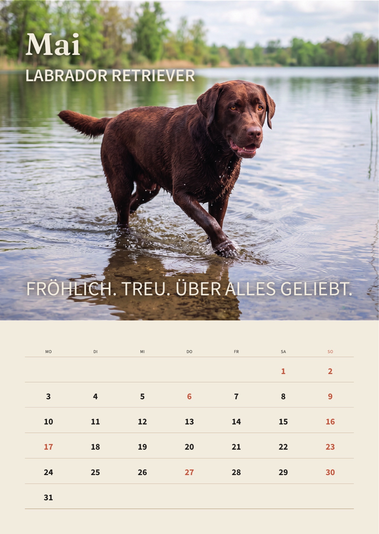 Mai 2027: Labrador Retriever im gestalteten Kalender