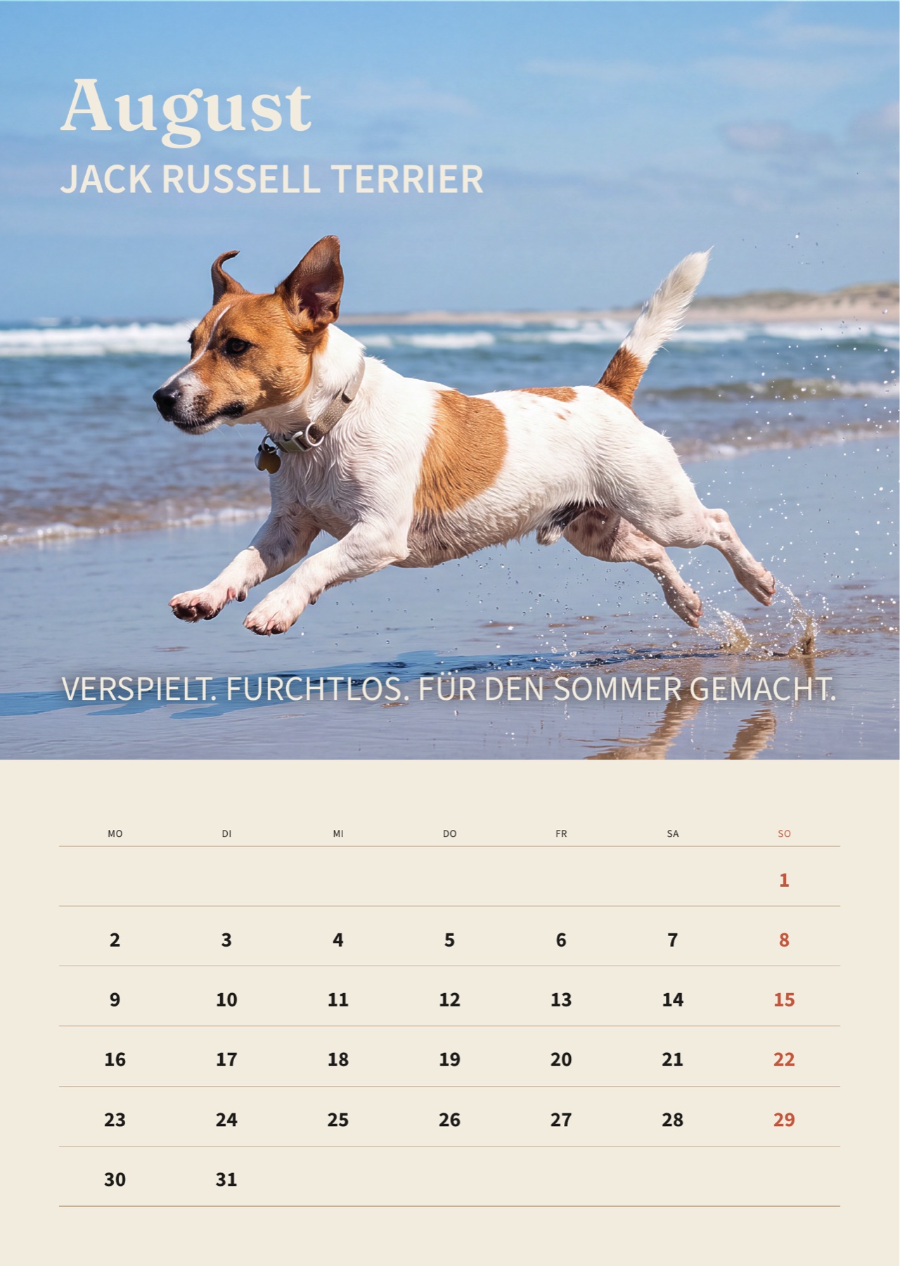August-Seite des DOGS OF 2027 Kalenders mit Jack Russell Terrier am Strand